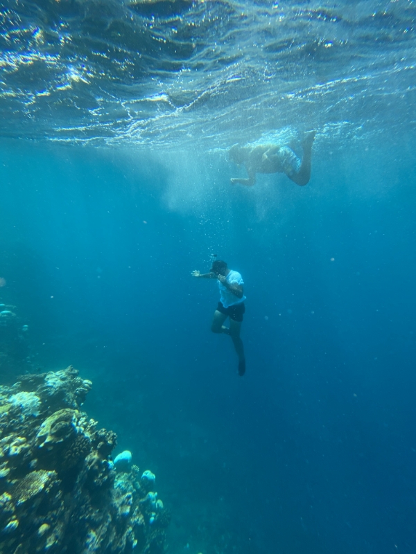 Snorkeling Tour in Jeddah 1 Day Trip Jarir Tickets